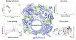 Unveiling the Catalytic Mechanism and Conformational Dynamics of Guinea Pig l-Asparaginase Type 1 for Leukemia Drug Design