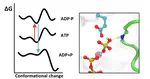 Conformational Changes and ATP Hydrolysis in Zika Helicase: The Molecular Basis of a Biomolecular Motor Unveiled by Multiscale Simulations