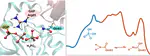 Mechanistic Insights into GTP Hydrolysis by the RhoA Protein: Catalytic Impact of Glutamine Tautomerism