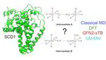 Understanding Substrate Binding and Reactivity of Stearoyl-CoA Desaturase (SCD1) through Classical and Multiscale Molecular Dynamics Simulations