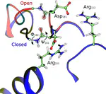 Activation and friction in enzymatic loop opening and closing dynamics