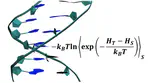 DNA Triplet Energies by Free Energy Perturbation Theory