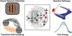 Competing Reaction Mechanisms of Peptide Bond Formation in Water Revealed by Deep Potential Molecular Dynamics and Path Sampling