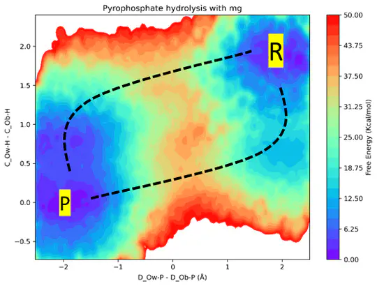 Machine Learning Potentials for Chemical Reactions in Solution