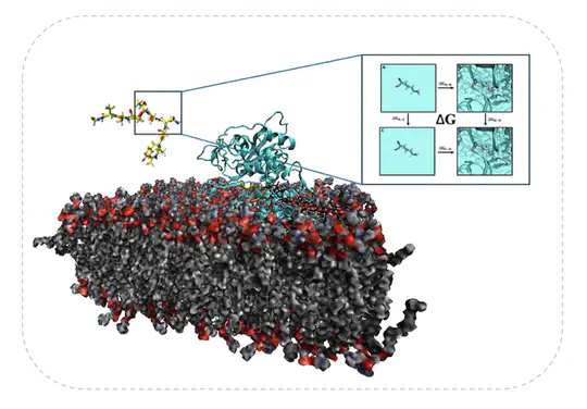 Chemical mechanism of N-glycosylation through molecular dynamics and experimental approaches