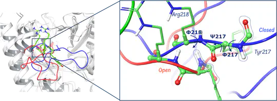 Loop Dynamics and Reactivity of Orotidine 5'-Monophosphate Decarboxylase